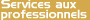 Services professionnels